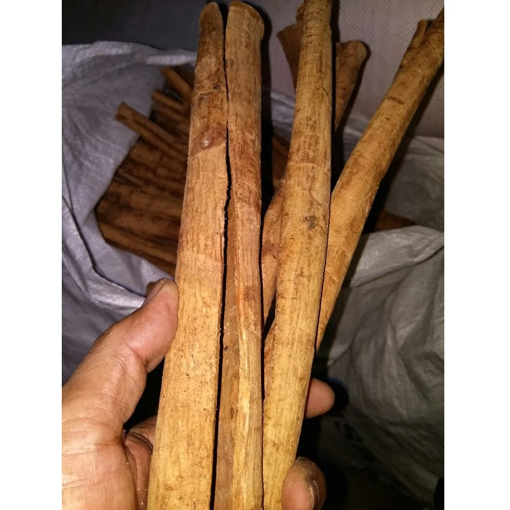 
Hot selling Natural Raw Dried Orange Yellow Cassia Sticks from Indonesia (WhatsApp: +6581317198) 