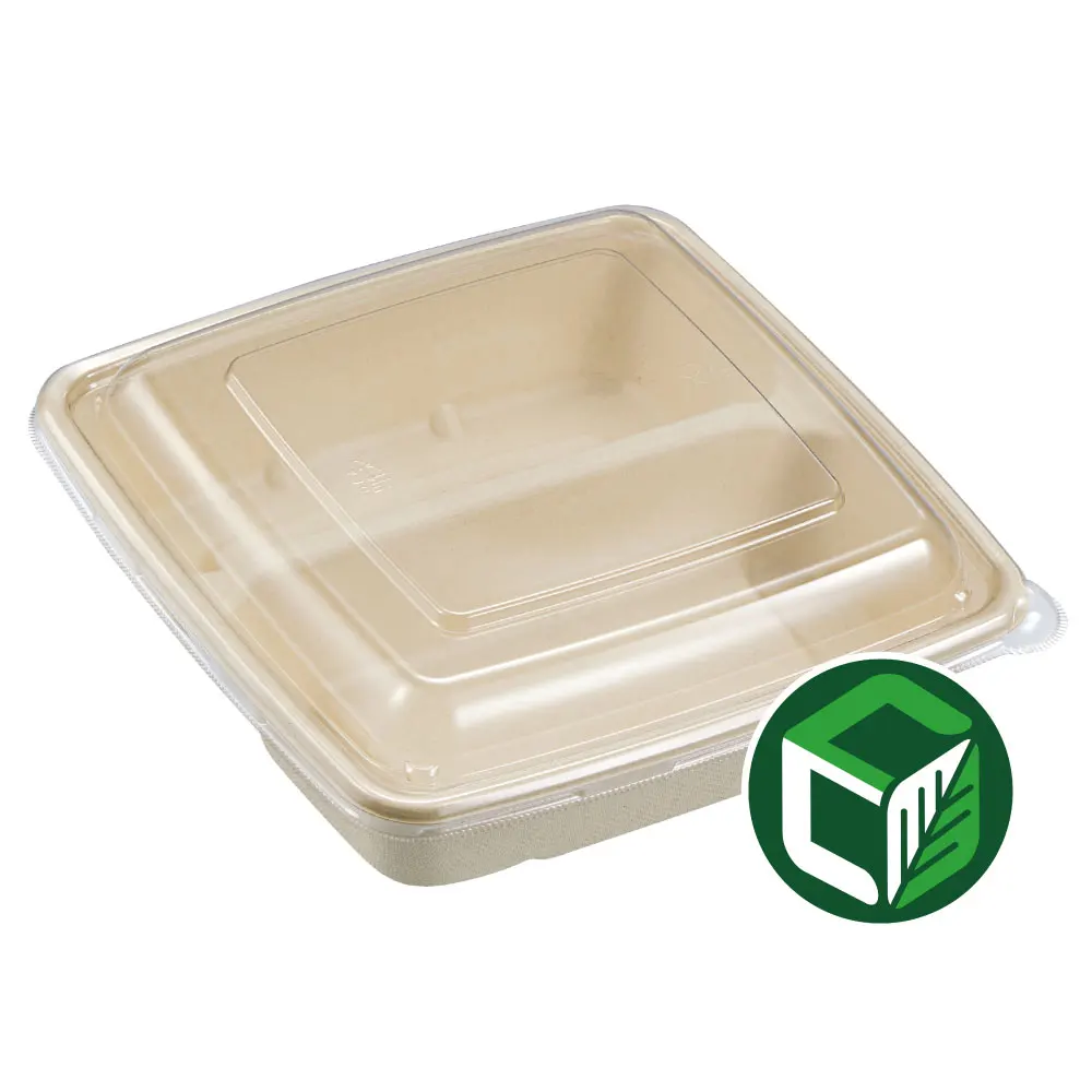 
100% biodegradable food box 2 Compartment Pulp Square Bamboo Fiber Food Box 