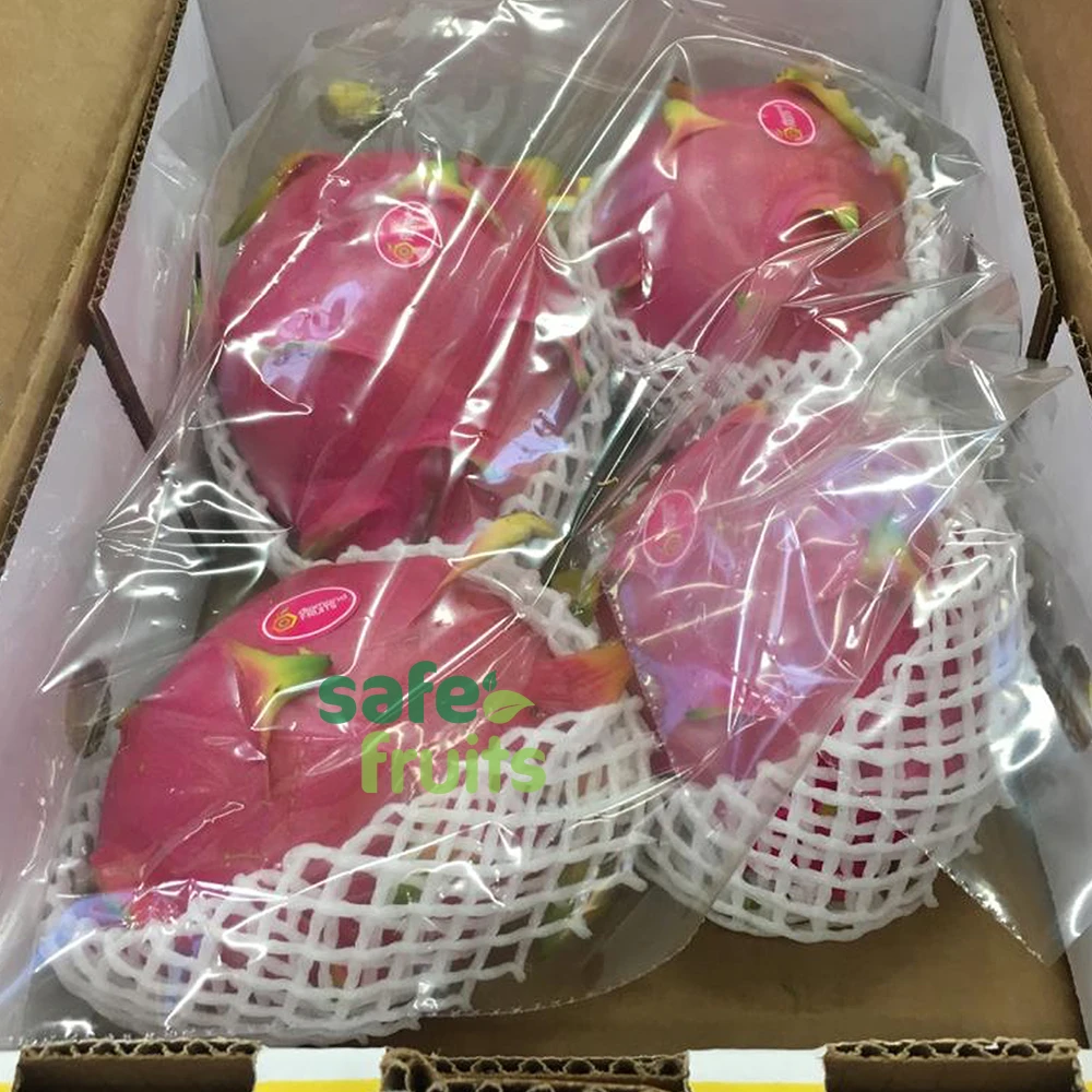 
Wholesale fresh Dragon Fruit with High quality from Vietnam 