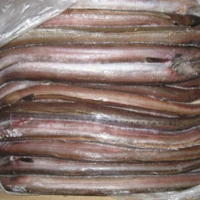 Cheap Price Frozen Yellow Pike Conger Eel Seafood Indonesia