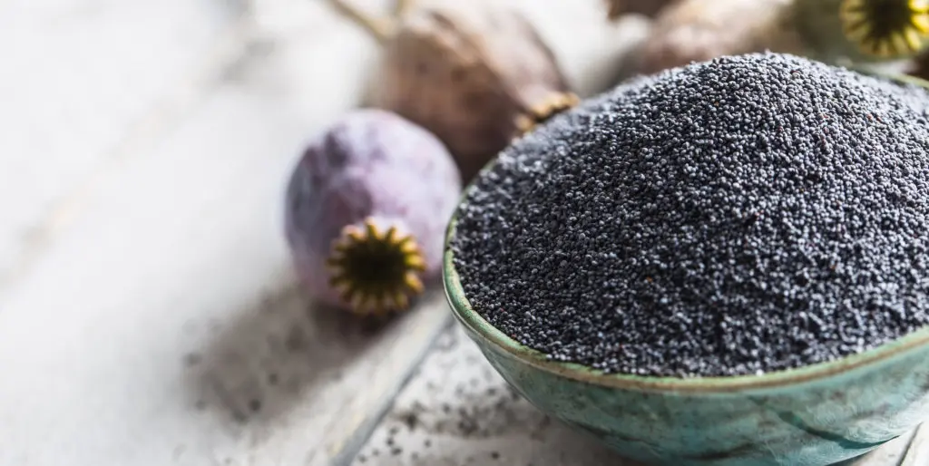 Blue poppy seed