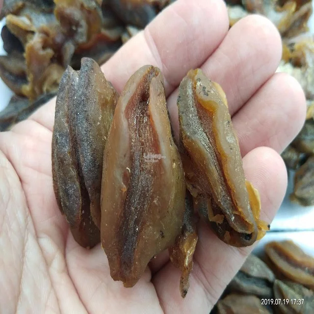Gold supplier fresh seafood dried canned