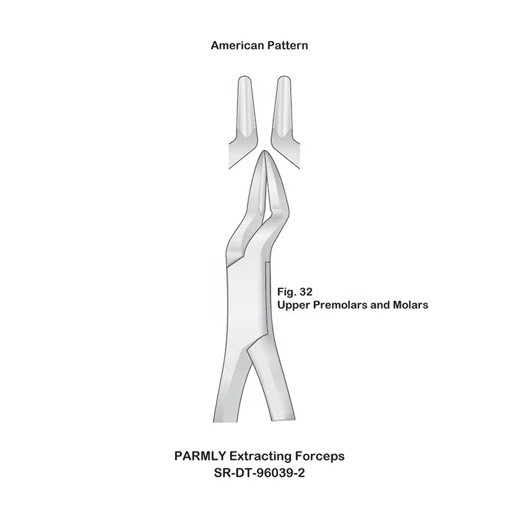 Stainless Steel Dental Extracting Forceps Upper Incisors and Roots