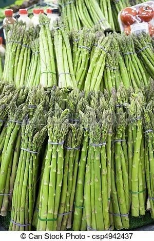 
Best Quality Fresh Asparagus for Sale 