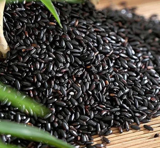  Рис с длинным зерном для черного риса «запрещенный рис»-gao nep cam - GAO NEP THAN-черный рис Жасмин (мс Деми + 84 961 733 400)