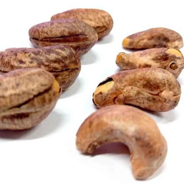 cashew nut peeling machine