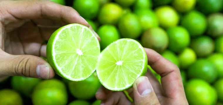 VIETNAM FRESH SEEDLESS LIME GREAT QUALITY FOR BUYER WHATSAPP WECHAT VIBER 0084326572671