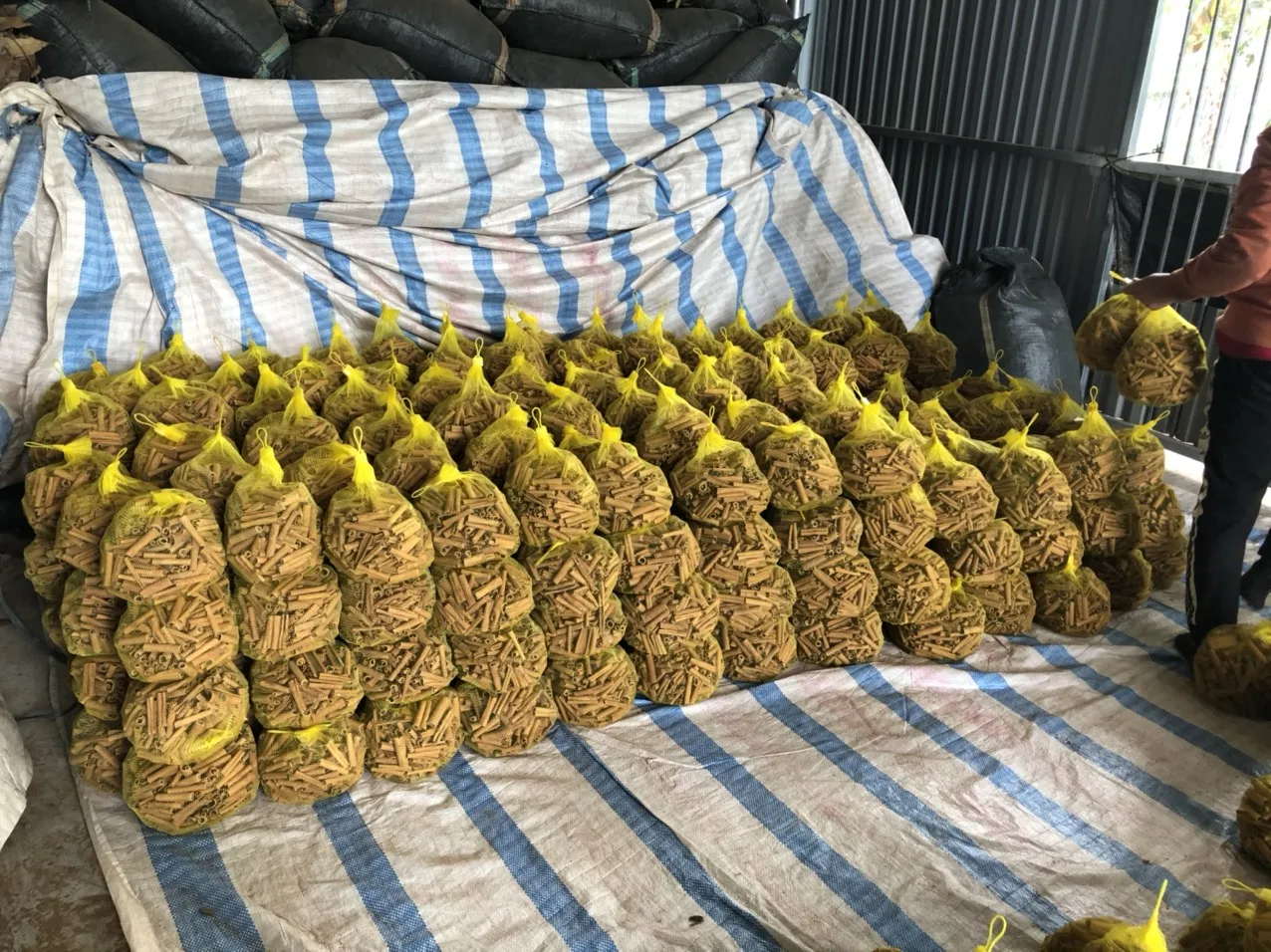 Paus De Cannela/ Cannela En Rama/ Cannella in Bastoncini New Crop 2022