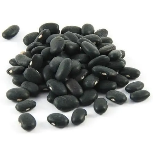 TTN sales different types of black kidney beans