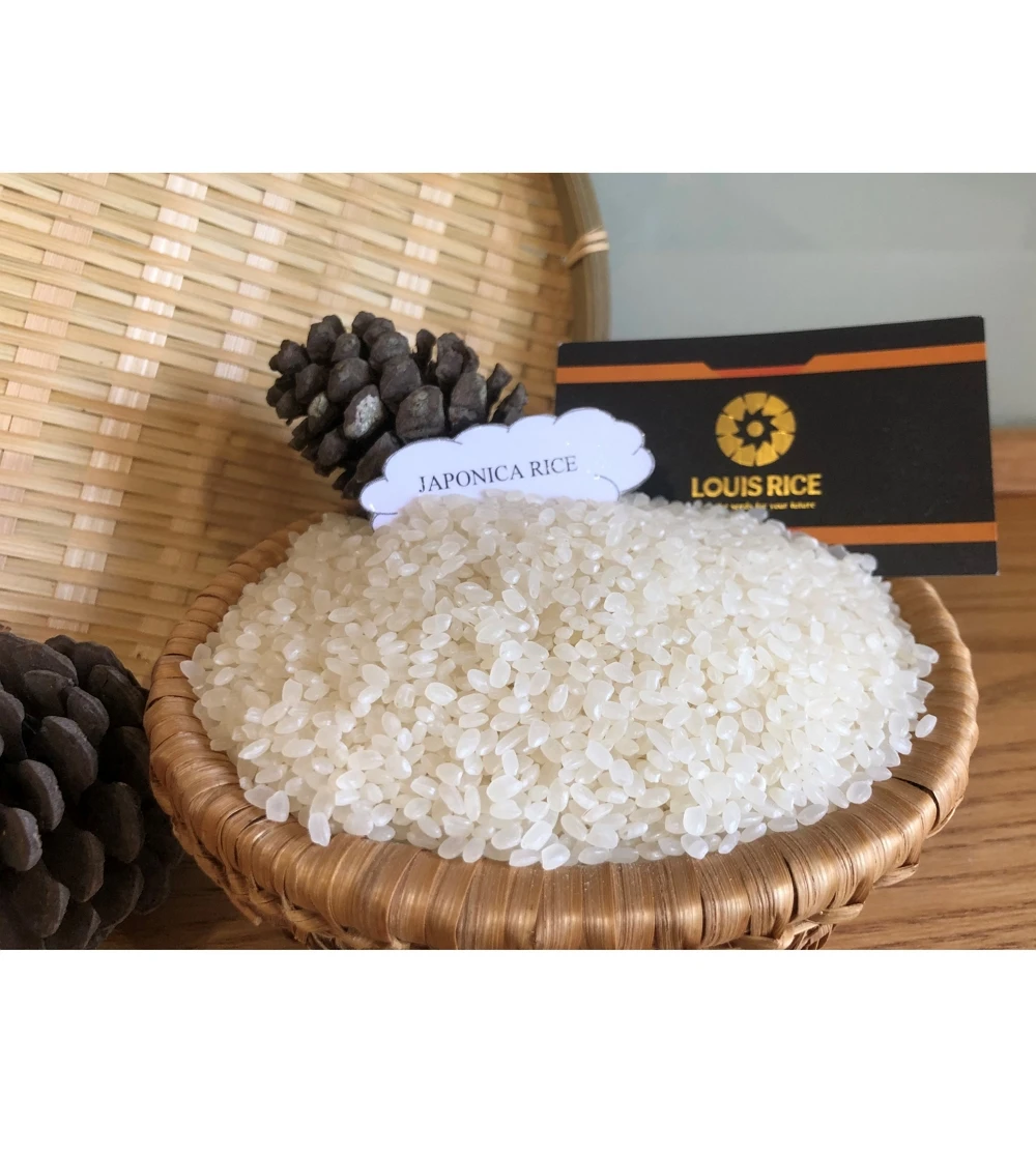 
Good price Japonica rice 5% broken high quality made in Vietnam 