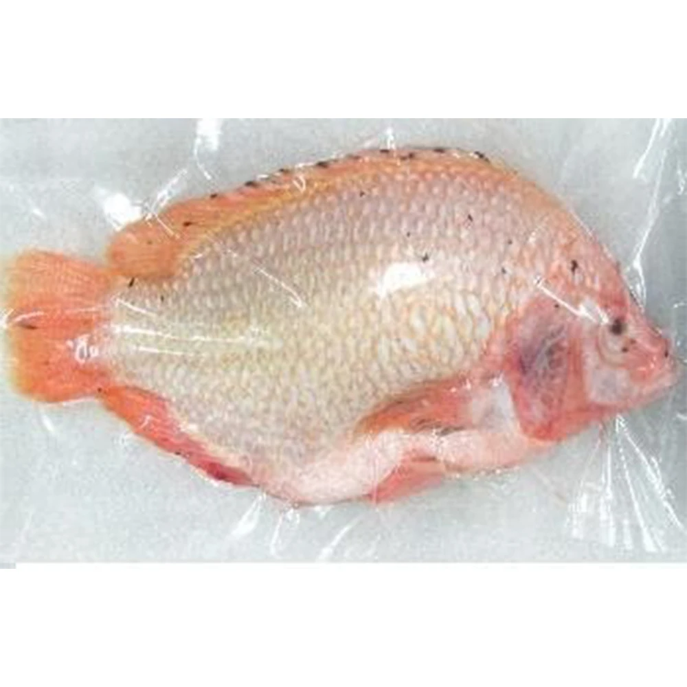Frozen Red Tilapia Fish 100% Natural | Vietnam Food Export Products | IQF | Cheap Price | Frozen Fish 500g 800g (1700003871377)