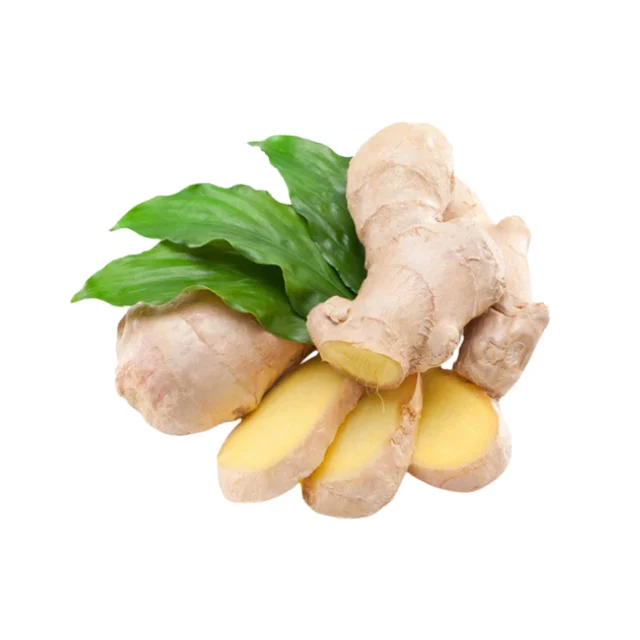 Top Product 2022 100% Premium Grade Fresh Ginger For Sale Cheap Price  From Viet Nam | Ready To Ship