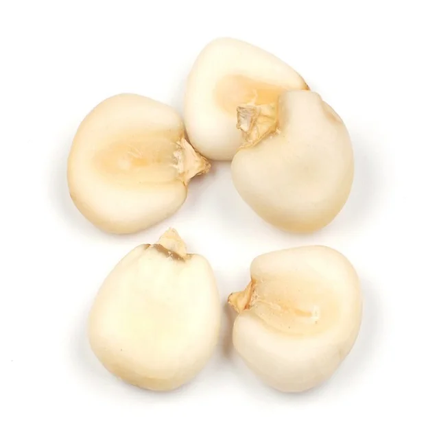 
Broken White Corn or Yellow Maize 