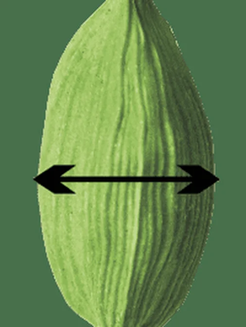 100% natural cardamom  8.0  MM cardamom green