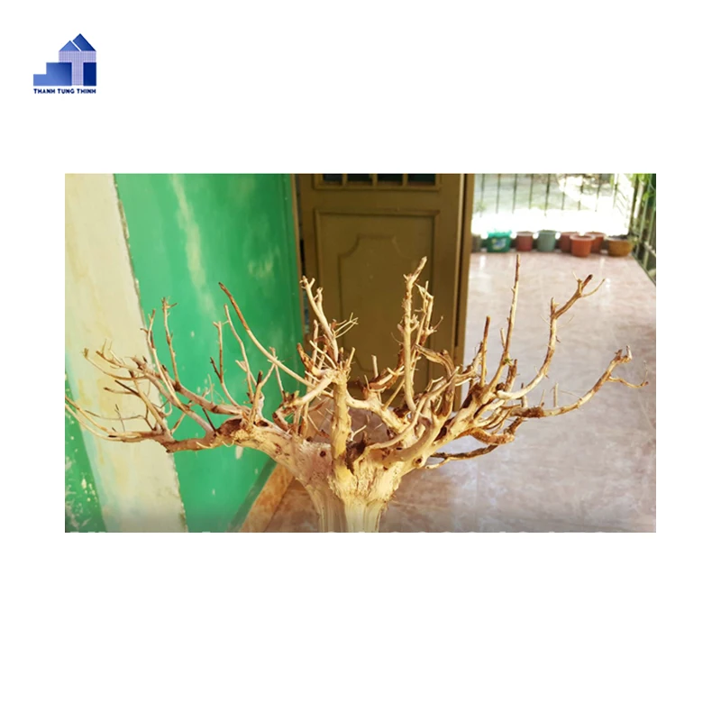 Manzanita Natural Driftwood From VietNam for Guppy Fish Tank Decor WhatsApp: +84 963 949 178
