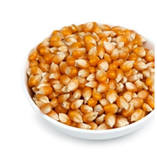 100% High Quality Mushroom Popcorn Kernels