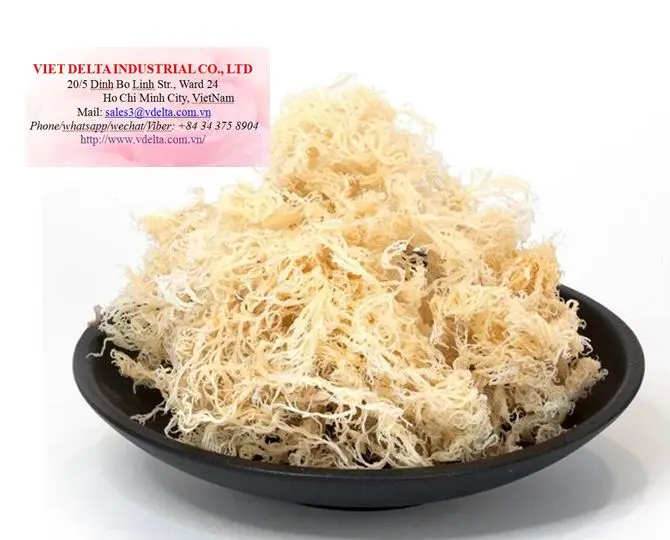 Изготовленный из ирландского Моха Натуральный Мох Вьетнама Eucheuma Cottonii (г-жа KIO HUYNH + 84 34 375 8904)