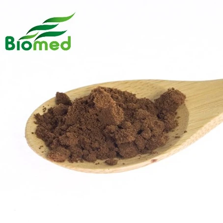 Antrodia camphorata powder Liver care health supplements