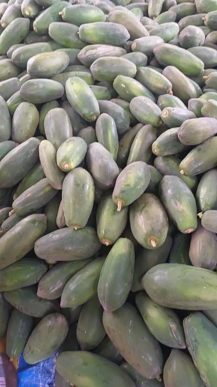 
Supplying fresh papaya/frozen papaya from Vietnam with top quality _Vikafoods (+84983028718). 