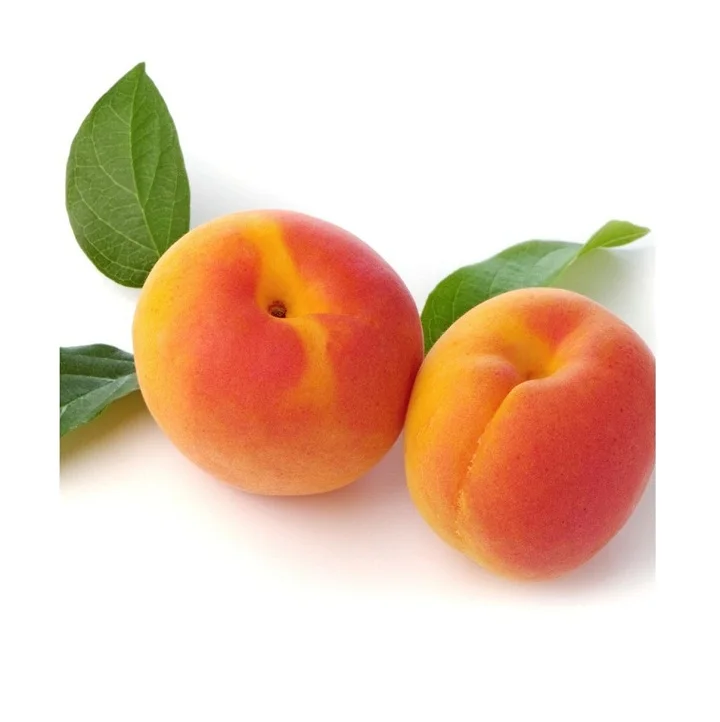 
Top Quality Fresh Apricots for sale At Cheapest Wholesale Price in Bulk Quantity 