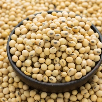 
Yellow Soya Beans Non-GMO Soy Beans/Wholesale organic soyabeans 