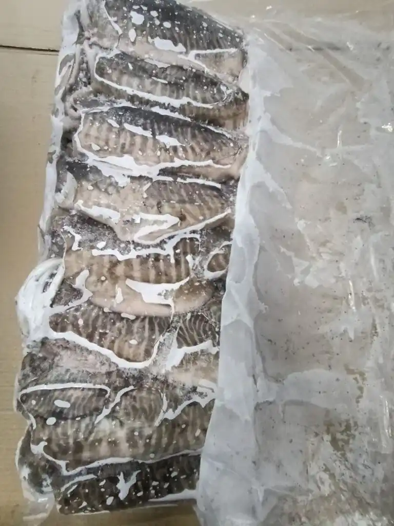 Frozen Cuttlefish whole from india, block frozen ,land frozen cuttlefish