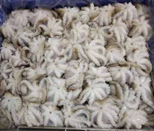 Wholesale fresh frozen cooked octopus vulgaris for sale in bulk