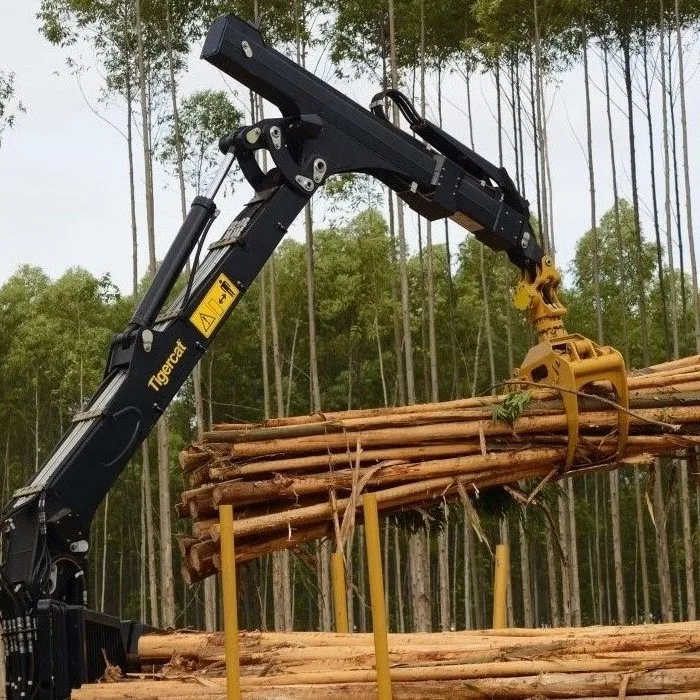 Hot Sales Sales Eucalyptus and Timber Logs Type Shape Place Round Direct Supply Eucalyptus wood Logs Available For Wholesale