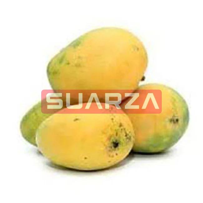 Natural Organic Fresh mango Nam dok mai high quality  exported at cheap price from Pakistan to all over the world