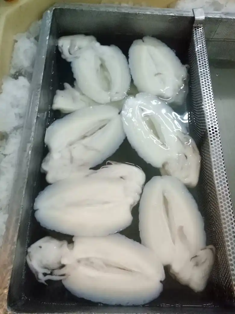 FROZEN BABY CUTTLEFISH CLEANED  TREATED IQF