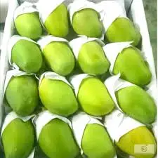 Свежий манго для продажи, низкая цена, агрозеленый Вьетнам