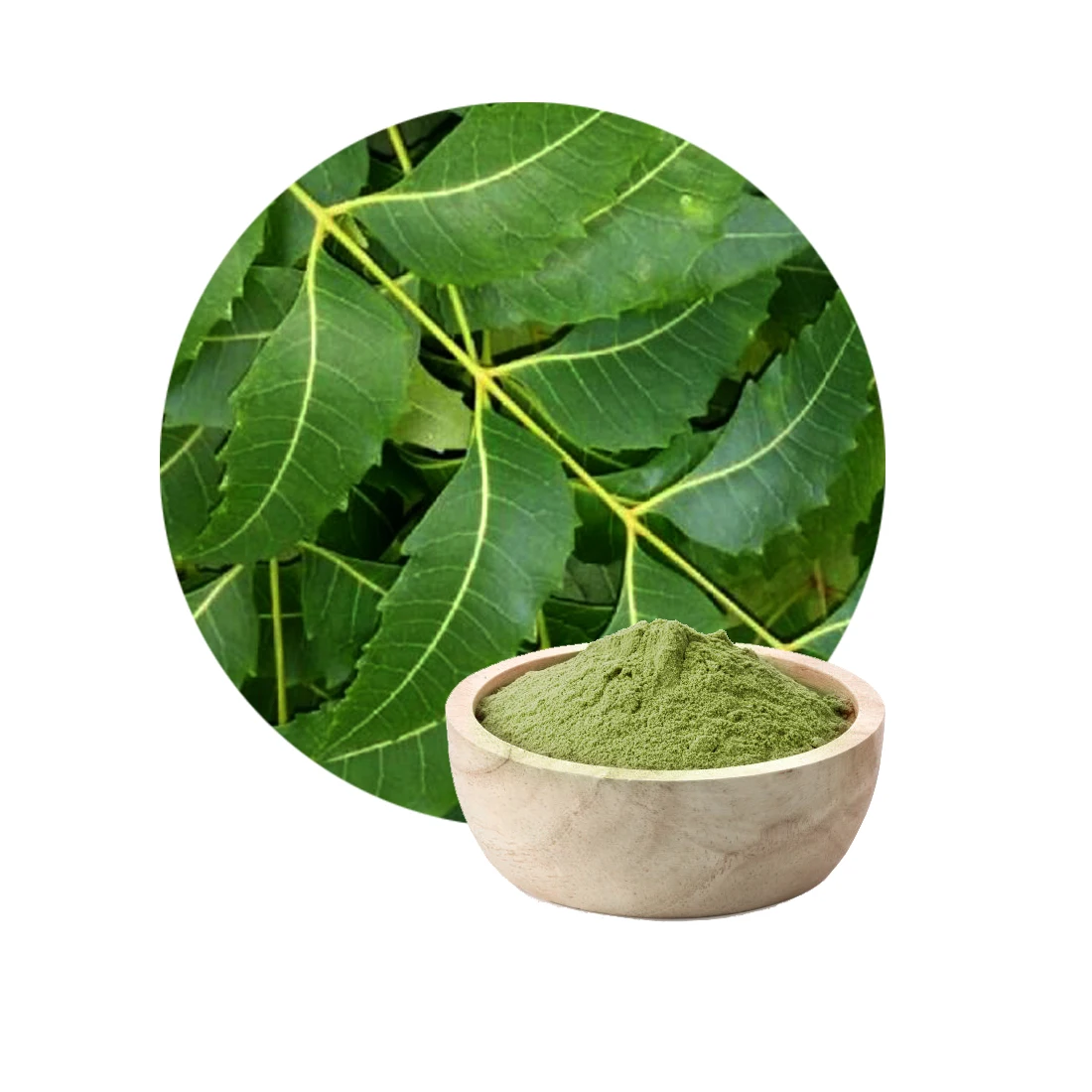 Best Quality Ayurvedic Organic Neem Powder for Hair Manufacturer in India