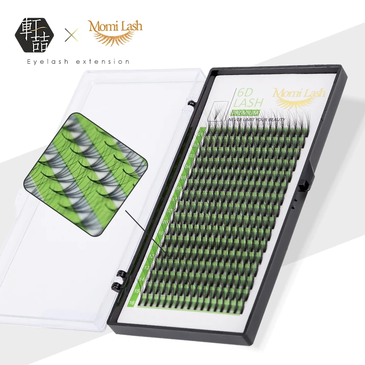 New Private Label 6D Premade Fans Lashes Vietnam Volume Eyelashes