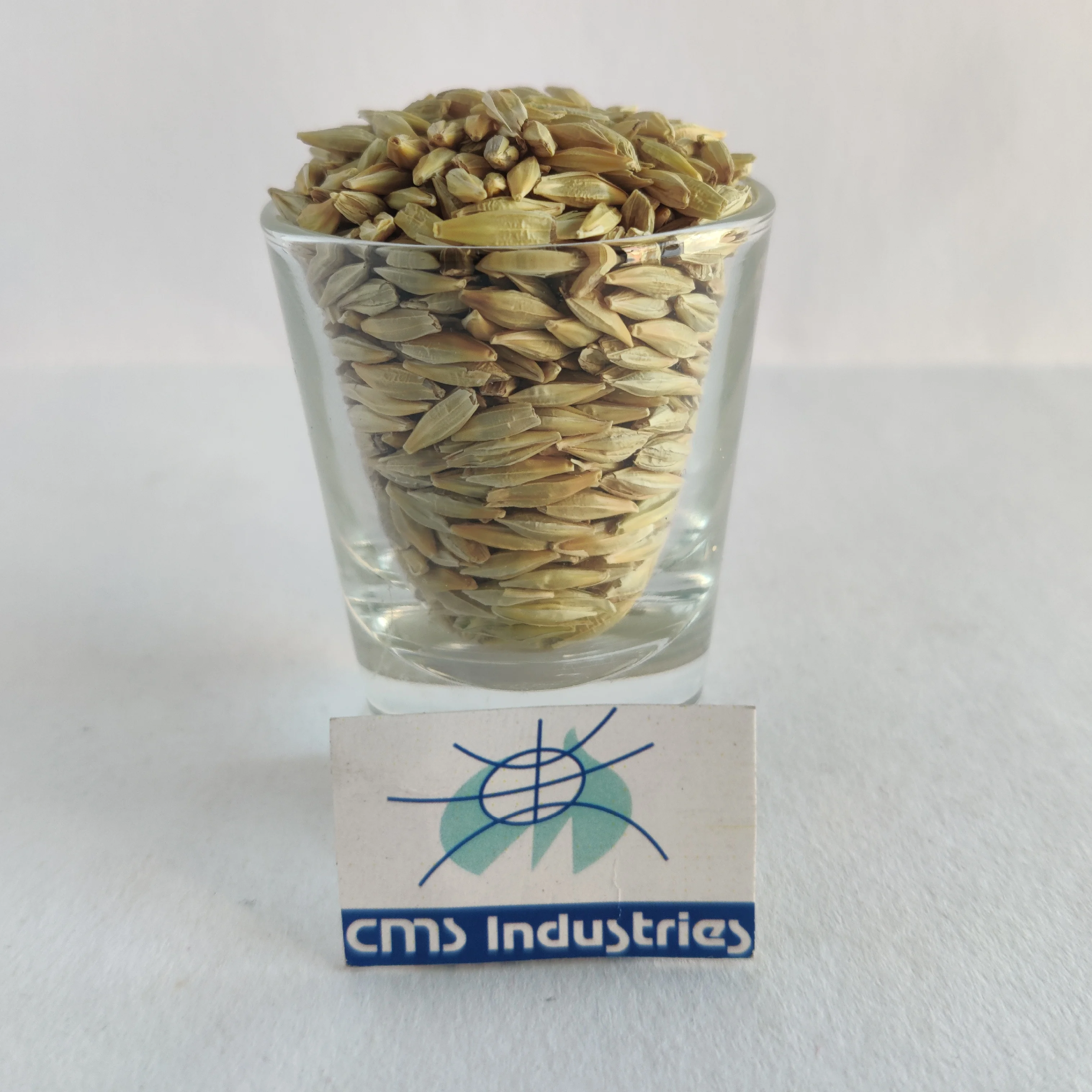 Bulk Supplier of Barley