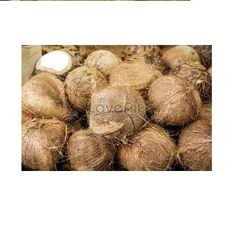 Fresh Coconut
