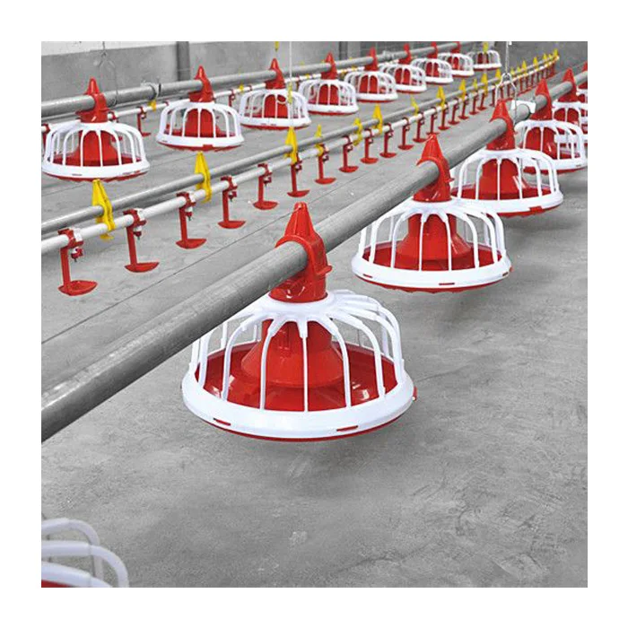 Poultry Automatic Feeder and Drinker China Poultry Farm Chicken Feeding Fully Automatic Feed System 1kg~40kg Provided Durable