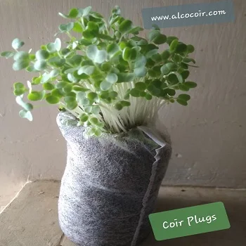 Planting Nursery for Seeds Coconut Coir Peat Disc Block Weight Form Material Origin Type Dia Nut SIZE Start Coco Place Model ZHE