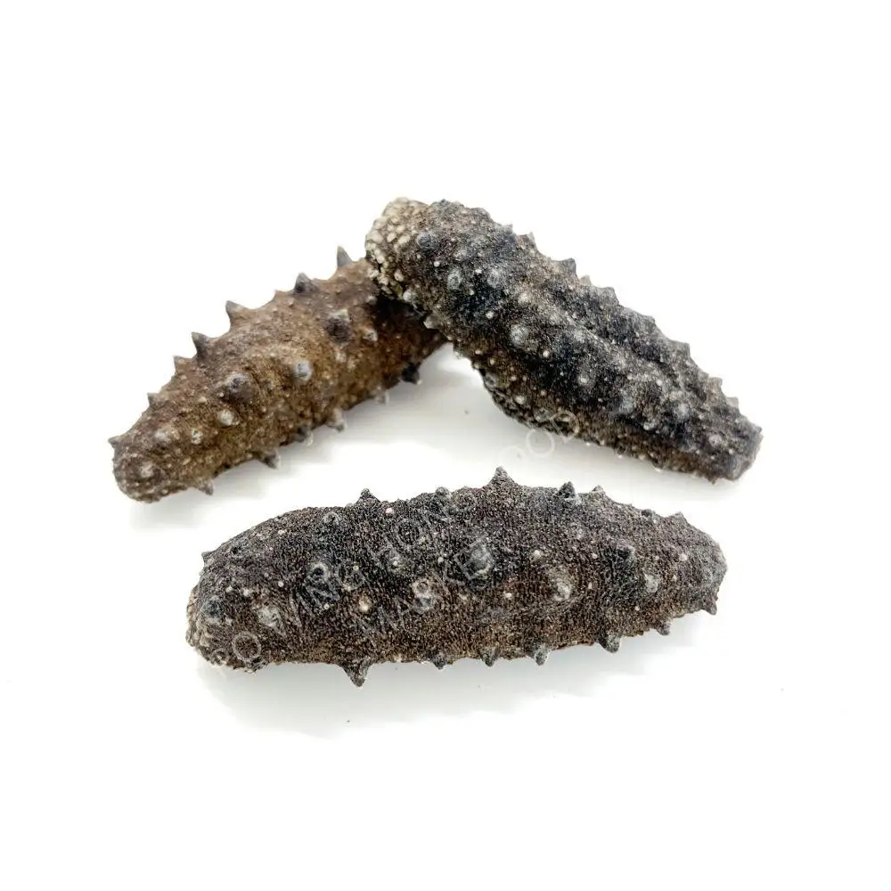 High quality dried sea cucumber
