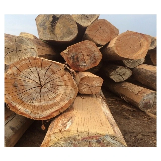 Timber and Oak Wood Logs