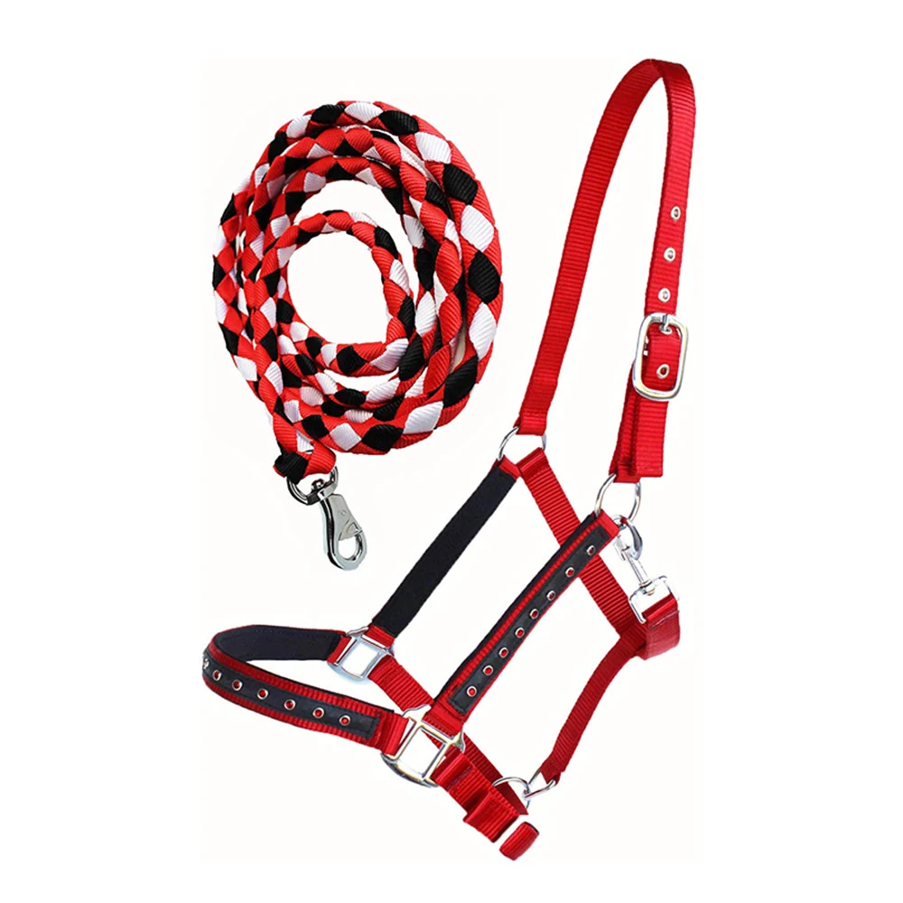 Новейший стиль верёвка для верховой езды высокое качество горячая цена кожаная на продажу