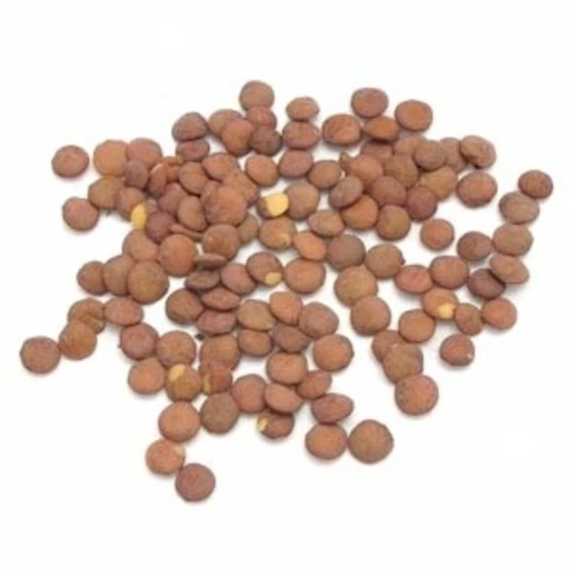
Lentils for sale 