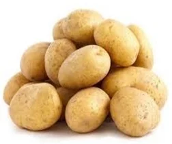 100% Top High Quality Cheap Price Pakistan Made Fresh Red Potato For Sale