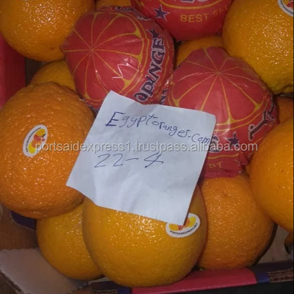 Fresh orange - Low Price - Finest quality - Egyptian origin