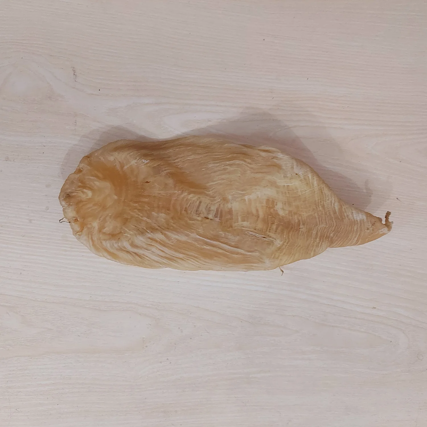 Black Drum Fish Maw Premium Quality Wholesale Sun Dried Master Seafood Product Best Quality Country of Origin Bangladesh