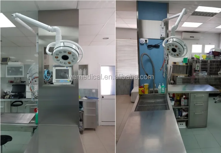 
Animal lamp led surgical lamps veterinary led operation lights for animal clinic 