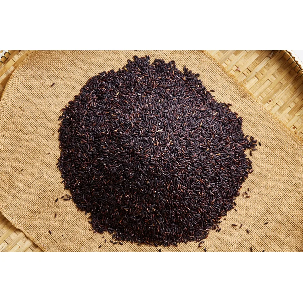 
Wholesale Crop 2020 Healthy Thai Dried Aromatic Rice Berry Organic With Common Cultivation Type 