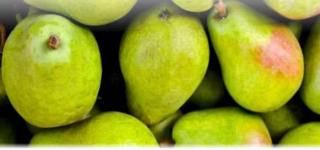 
Fresh Fruits and Vegetables 