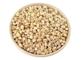 Barley feed 2.jpg