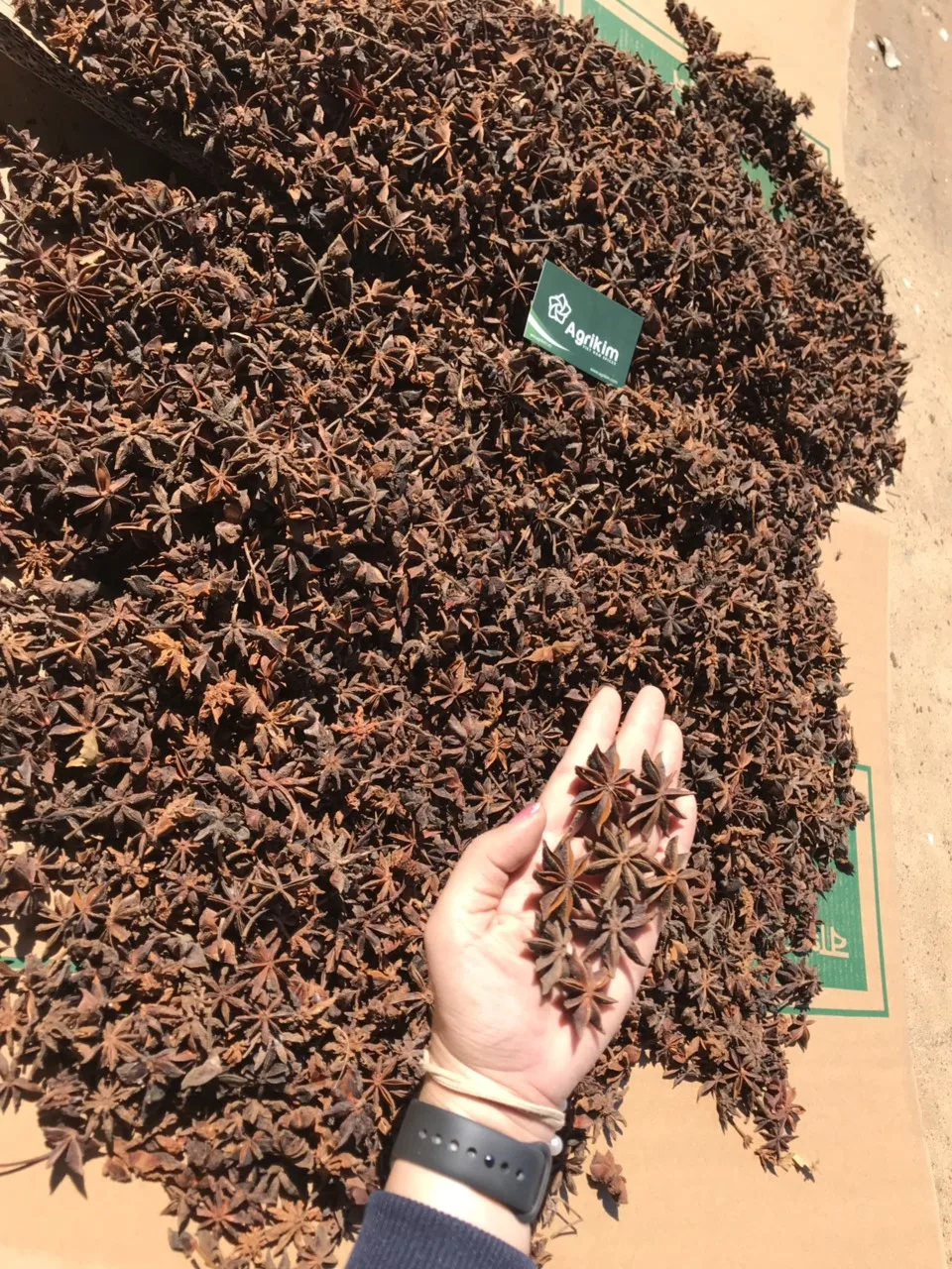 WS +84359166896 No.1 Vietnamese Star Anise With High Oil Content Small Broken Rate And Extremely Dry Good Price Ready To Ship