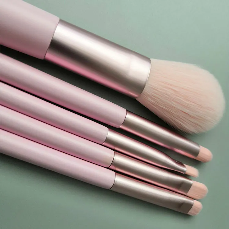 Travel makeup brush set 5 pcs  pink powder eyeshadow brushes